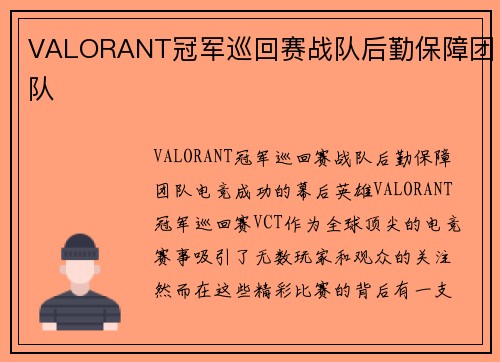 VALORANT冠军巡回赛战队后勤保障团队